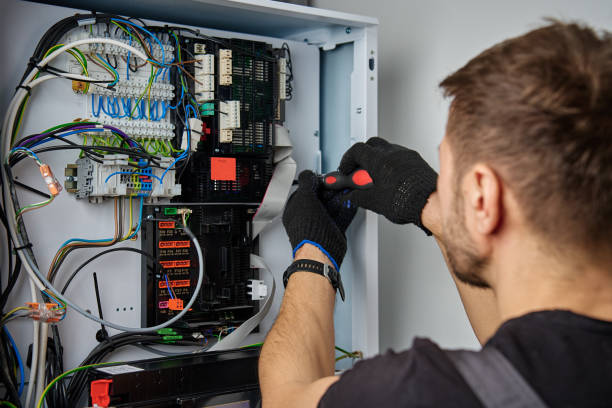 Licensed Electrical Panel Upgrade service in Palestine, IL - No Joke electrician